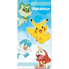 Pokemon Pokemon and Friends towel