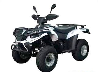 Linhai ATV 300 2017 ATV 200cc carbirateur-thumb-1