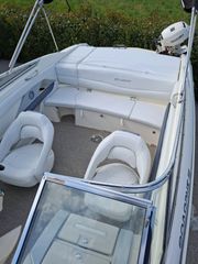 Larson 2010 LXI 228
