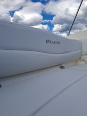 Larson 2010 LXI 228-thumb-3