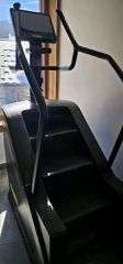 Technogym Climb LIVE 16 Stair Master for Sale – Excellent Condition