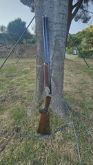 beretta 694 sporting 71 πόντους-thumb-1