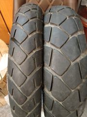 Metzler turans DOT 23