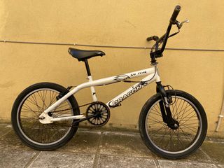 BMX Dragon 2019 no fear