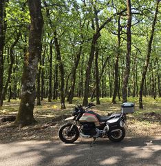 Moto Guzzi V 85 TT 2020