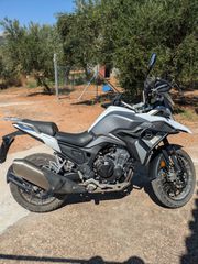 Daytona Maverick 2023