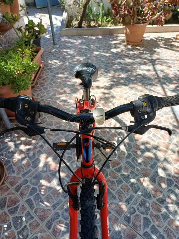 All - Mountain 2Danger 2019