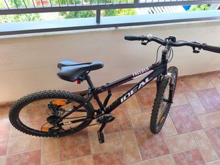 All - Mountain Ideal 2011 Freeder Disk