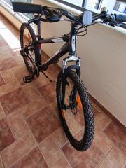 All - Mountain Ideal 2011 Freeder Disk-thumb-2