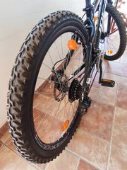 All - Mountain Ideal 2011 Freeder Disk-thumb-4