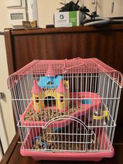 ΔΙΔΕΤΑΙ ΠΡΟΣ ΥΙΟΘΕΣΙΑ HAMSTER. ΠΑΡΕΧΕΤΑΙ ΔΩΡΕΑΝ ΚΑΙ ΟΛΟΣ Ο ΕΞΟΠΛΙΣΜΟΣ ΔΙΑΜΟΝΗΣ ΚΑΙ ΕΚΤΡΟΦΗΣ ΤΟΥ ΚΑΤΟΙΚΙΔΙΟΥ.
