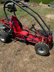 Buggy Motors 2010
