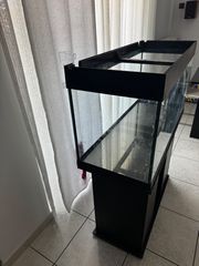 Ενυδρείο 200L-thumb-2