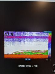 SIMRAD NSS 7 EVO 2-thumb-8