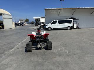 Yamaha Raptor 700 2008 ΜΕ ΠΙΝΑΚΙΔΕΣ YFM 700 SPECIAL EDITION GYTR-thumb-6