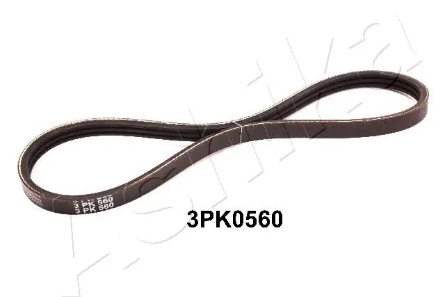 CONTINENTAL CTAM 3PK560 - poly-V