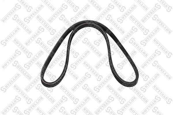 CONTINENTAL CTAM 3PK800 - poly-V