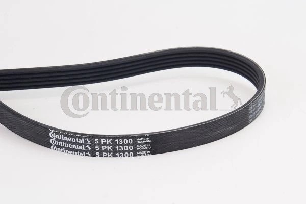 CONTINENTAL CTAM 5PK1300 - poly-V