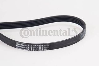 CONTINENTAL CTAM 5PK1300 - poly-V