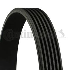 CONTINENTAL CTAM 6PK1060 - poly-V