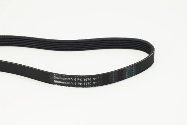 CONTINENTAL CTAM 6PK1570 - poly-V