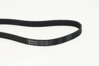CONTINENTAL CTAM 6PK1570 - poly-V