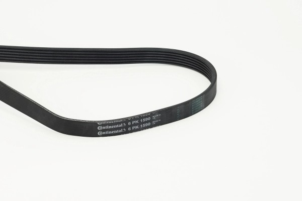 CONTINENTAL CTAM 6PK1590 - poly-V