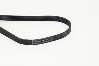 CONTINENTAL CTAM 6PK1590 - poly-V