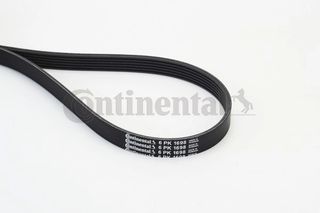 CONTINENTAL CTAM 6PK1698 - poly-V