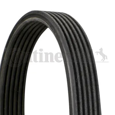 CONTINENTAL CTAM 6DPK1841 - poly-V