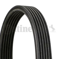 CONTINENTAL CTAM 6DPK1841 - poly-V