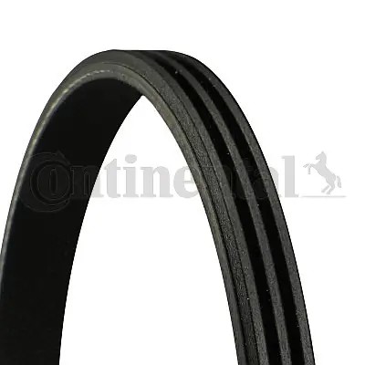 CONTINENTAL CTAM 3PK698 - poly-V