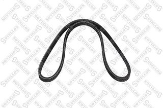 CONTINENTAL CTAM 3PK805 - poly-V