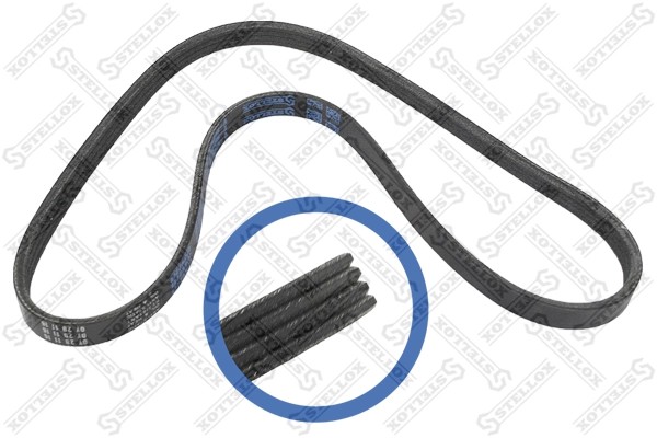 CONTINENTAL CTAM 4PK922 ELAST - poly-V