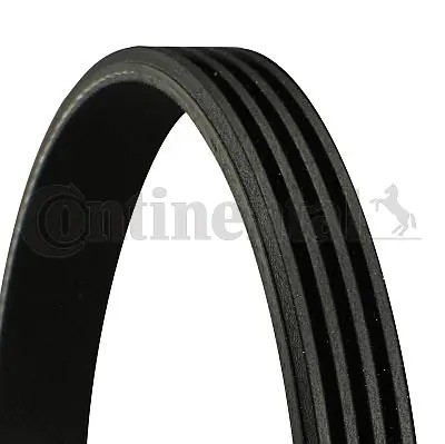 CONTINENTAL CTAM 4PK962 - poly-V