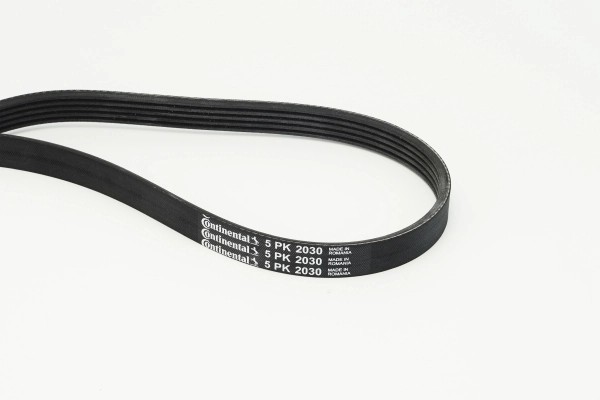 CONTINENTAL CTAM 5PK2030 - poly-V