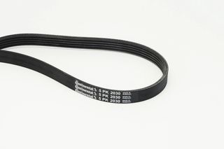 CONTINENTAL CTAM 5PK2030 - poly-V