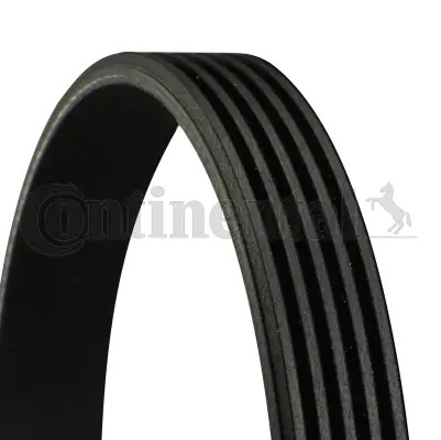 CONTINENTAL CTAM 5PK628 ELAST - poly-V