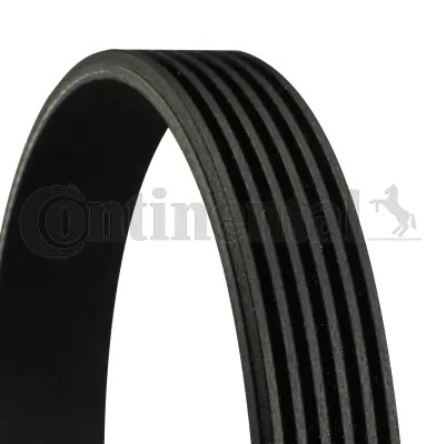 CONTINENTAL CTAM 6PK1019 ELAST - poly-V