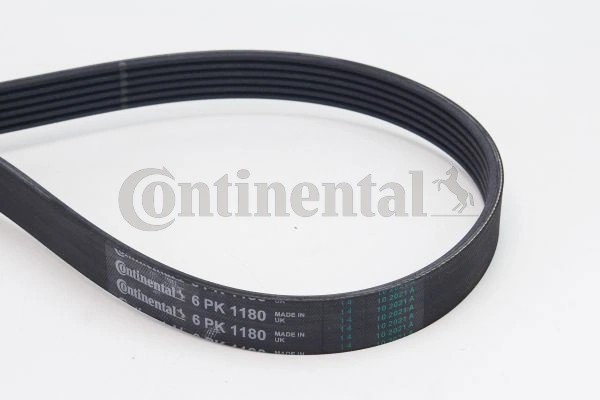 CONTINENTAL CTAM 6PK1180 - poly-V