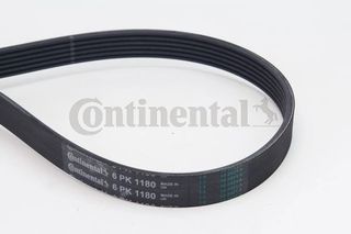 CONTINENTAL CTAM 6PK1180 - poly-V