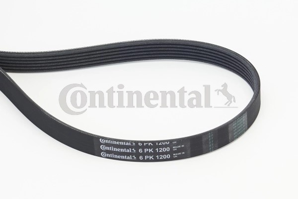 CONTINENTAL CTAM 6PK1200 - poly-V