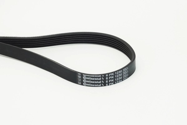 CONTINENTAL CTAM 6PK1230 - poly-V