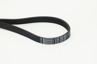 CONTINENTAL CTAM 6PK1230 - poly-V