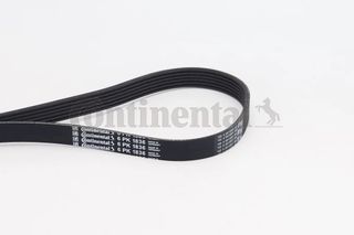 CONTINENTAL CTAM 6PK1836 - poly-V