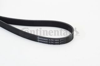 CONTINENTAL CTAM 6PK1893 - poly-V