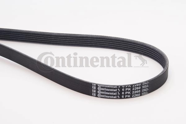 CONTINENTAL CTAM 6PK2260 - poly-V