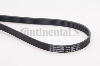 CONTINENTAL CTAM 6PK2260 - poly-V