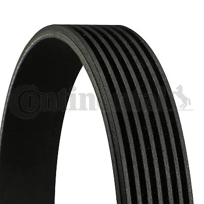 CONTINENTAL CTAM 7PK1473 - poly-V