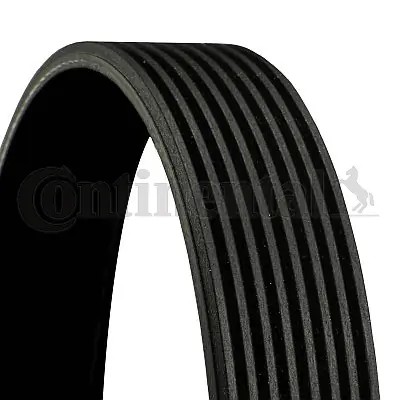 CONTINENTAL CTAM 8PK1509 - poly-V